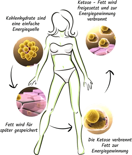 ketose-erklärung-g7 plus